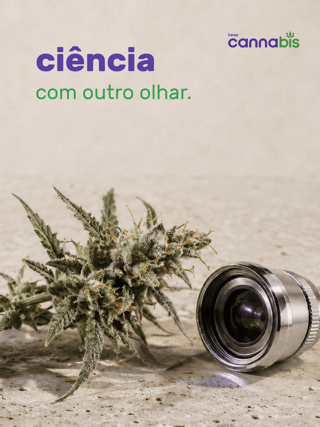 Flor de cannabis ao lado de uma lente, representando ciência e pesquisa
