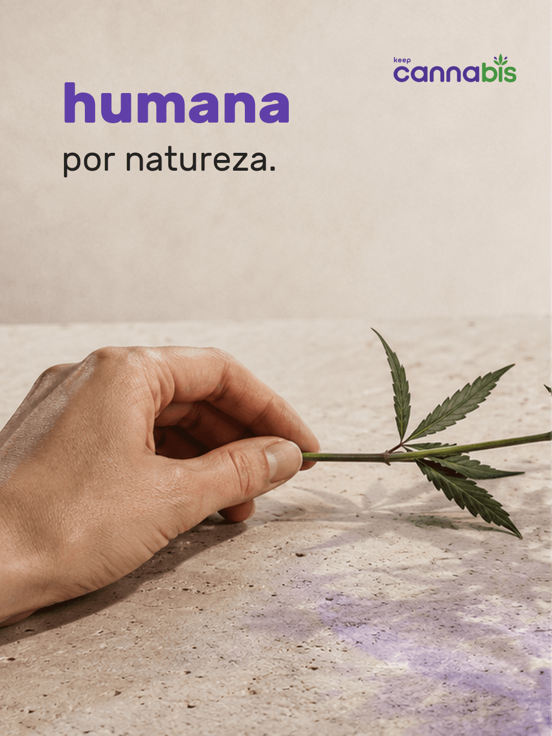 Mão segurando delicadamente uma folha de cannabis